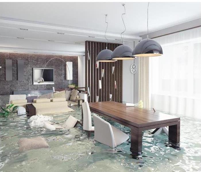 knee high water in living and dining room