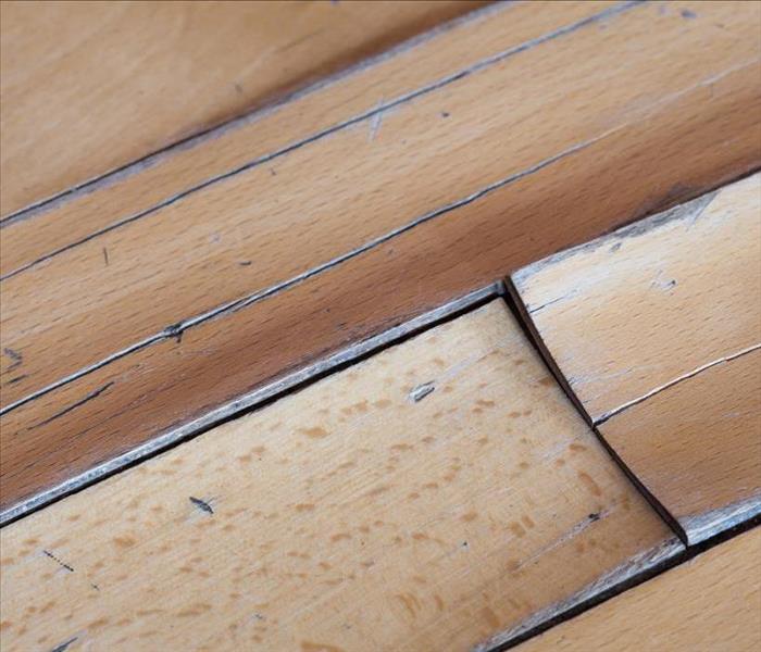 hardwood planks damaged, cupping